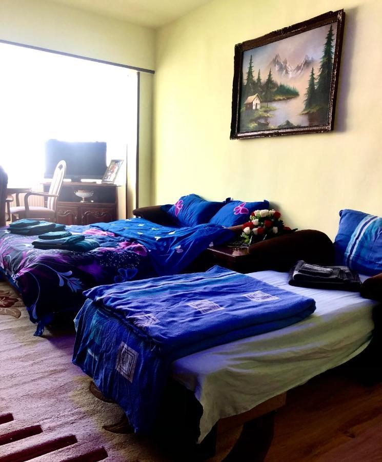 La Symo Apartament Straja Lupeni Lupeni  Luaran gambar