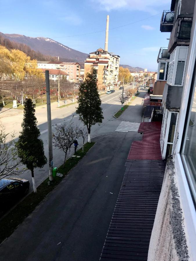La Symo Apartament Straja Lupeni Lupeni  Luaran gambar