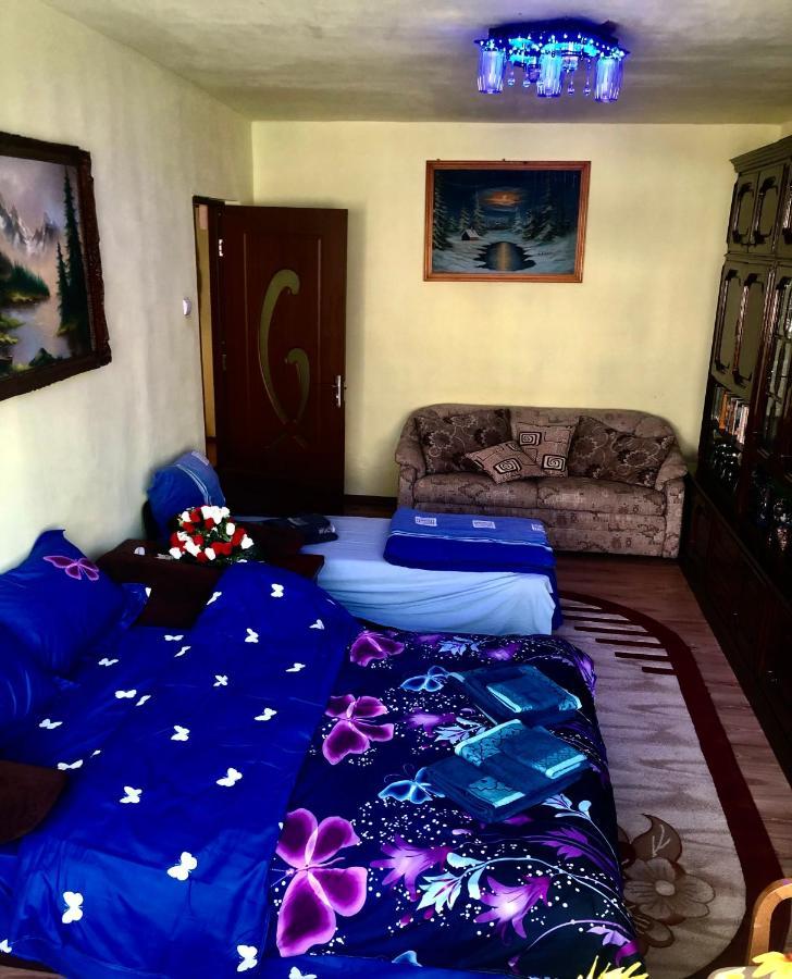 La Symo Apartament Straja Lupeni Lupeni  Luaran gambar