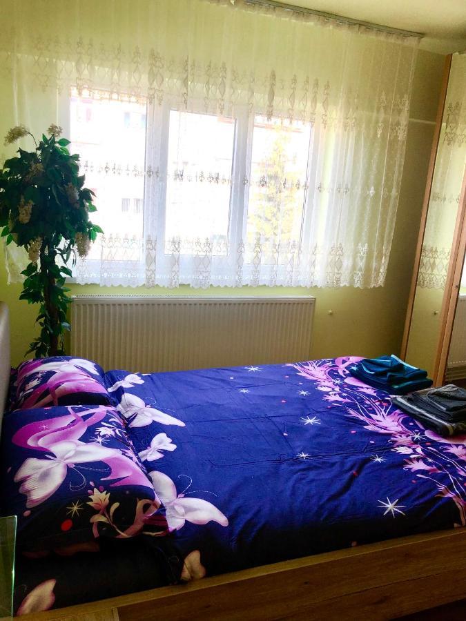 La Symo Apartament Straja Lupeni Lupeni  Luaran gambar