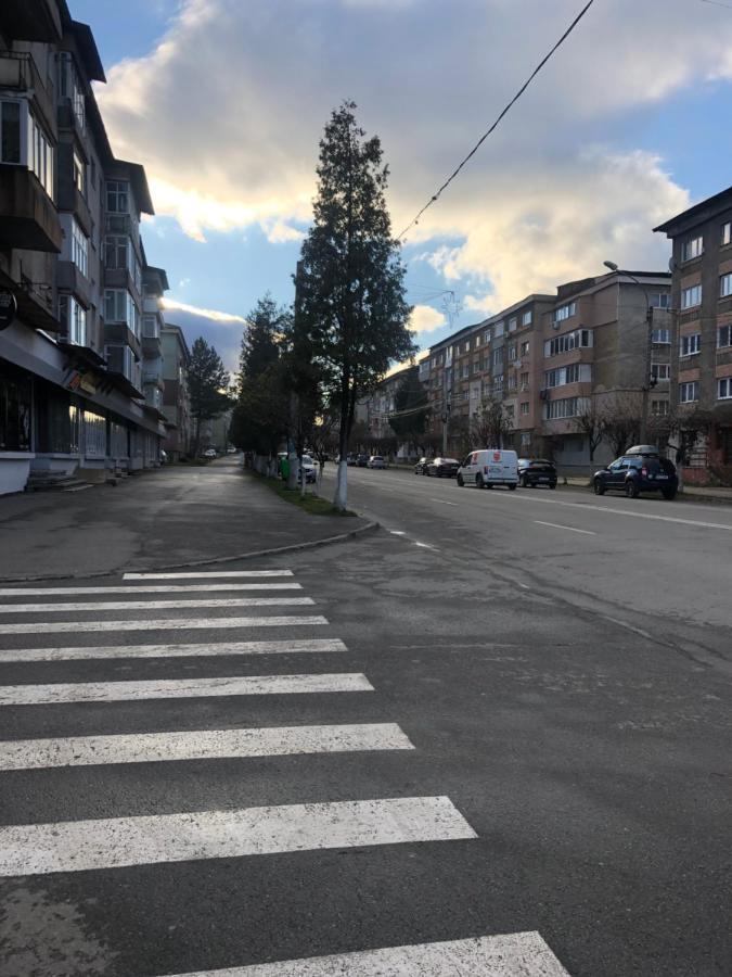 La Symo Apartament Straja Lupeni Lupeni  Luaran gambar