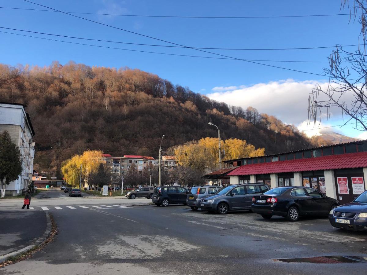 La Symo Apartament Straja Lupeni Lupeni  Luaran gambar