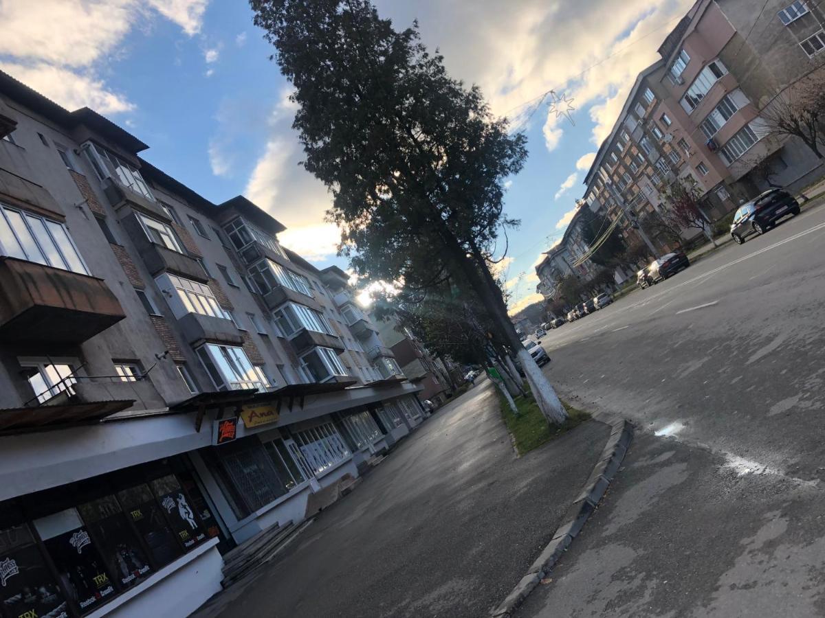 La Symo Apartament Straja Lupeni Lupeni  Luaran gambar